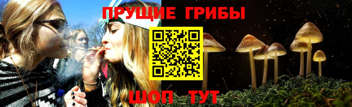 Галлюциногенные грибы Cubensis Заринск