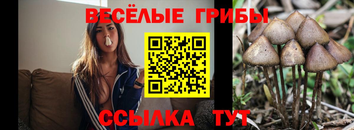 Псилоцибиновые грибы Magic Shrooms  Вход с VPN  Заринск 